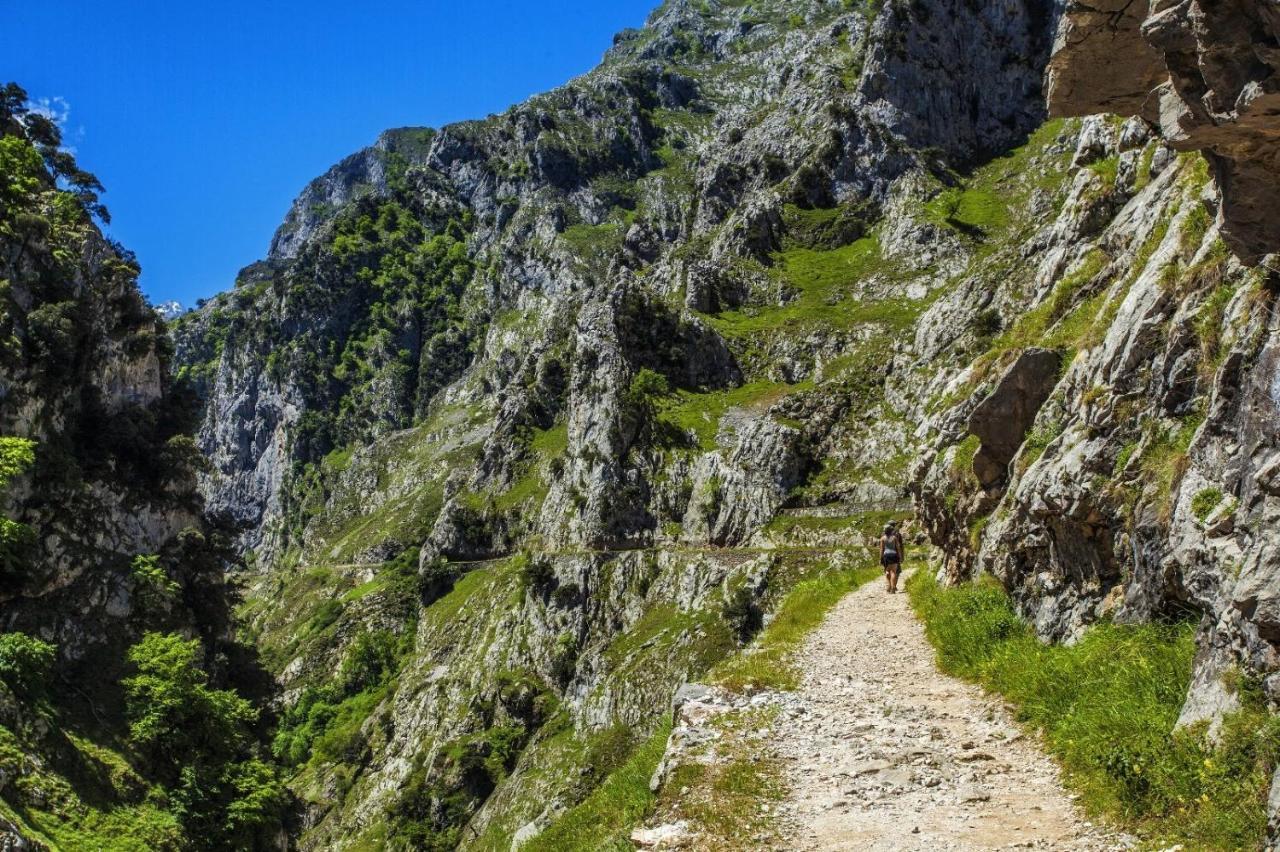 El Mirador De Meron San Vicente De La Barquera Eksteriør billede