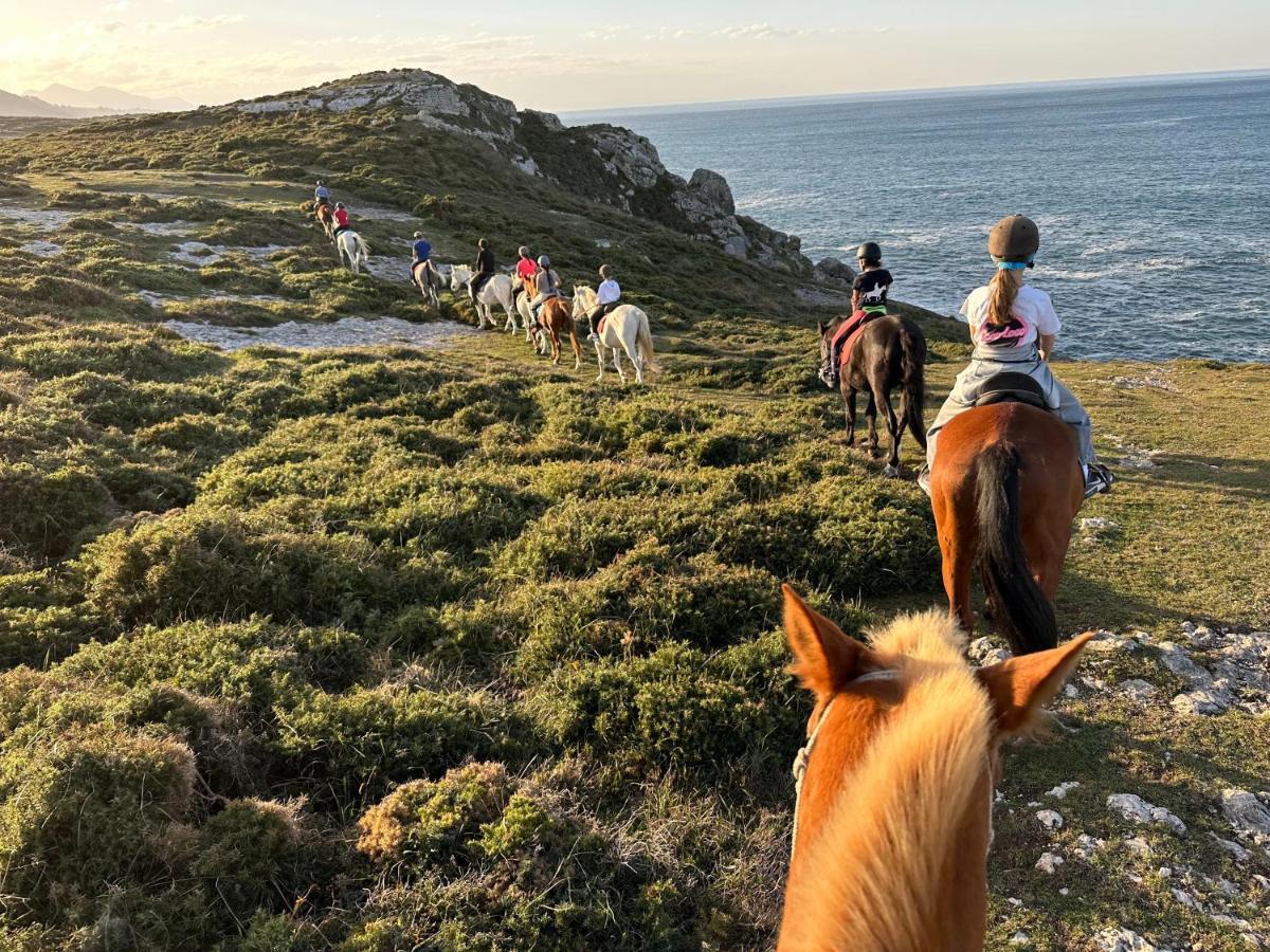 El Mirador De Meron San Vicente De La Barquera Eksteriør billede